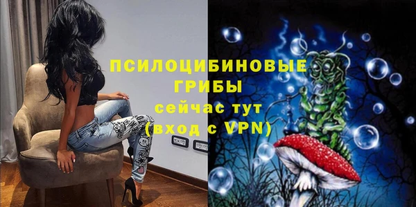 гидропоника Алзамай