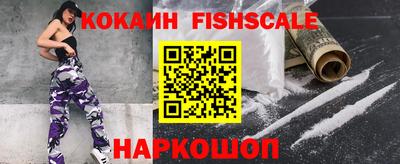 гашик Камышлов