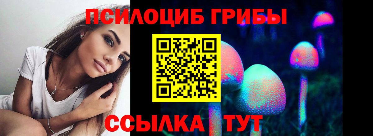 Псилоцибиновые грибы MAGIC MUSHROOMS  Галлюциногенные грибы Psilocybe  Кызыл  Вход с VPN 