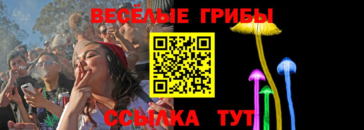 Псилоцибиновые грибы Magic Shrooms Кызыл